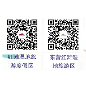 微信扫一扫关注我们